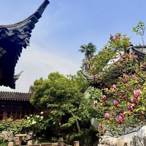 第三十四期 曲园探秘：俞樾用五亩废地，建出晚清最卷“学术宅”