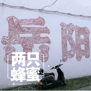 Vol.16 岳阳游记(LiuShuiZhang)