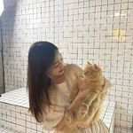 饭团_Rh0U