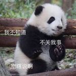 波波516