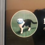 看我的简介加一下