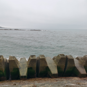 VOL128.我爱我缓慢向上的勇气，人生缓缓自有答案。