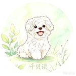 千贝谈