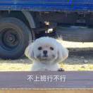 小田儿保卫地球