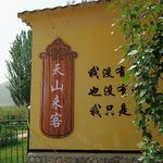 葡萄哈密瓜