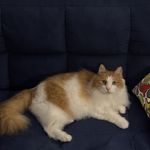 眼眼眼睫毛真长