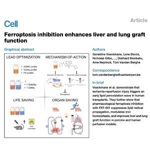 1026-Ferroptosis Inhibition Enhances Organ Graft Function