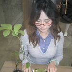 小棉花赞美诗