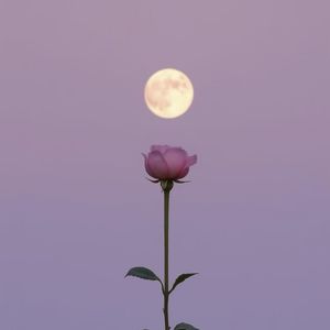 43. 幸福这件小事