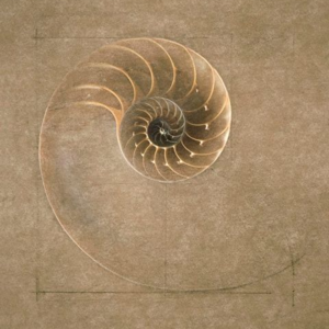 Vol.12 当创伤卡在了身体里，我们可以做什么？