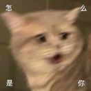 啊这不是福嘛