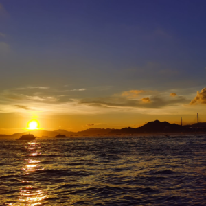 是光让乌云变成彩霞，是爱让刺猬变得温顺