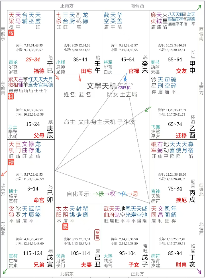 E13 如何让命盘更有效率 | 2026年，这样过会更好 - 复旦研究生的紫薇科学 | 小宇宙 - 听播客，上小宇宙