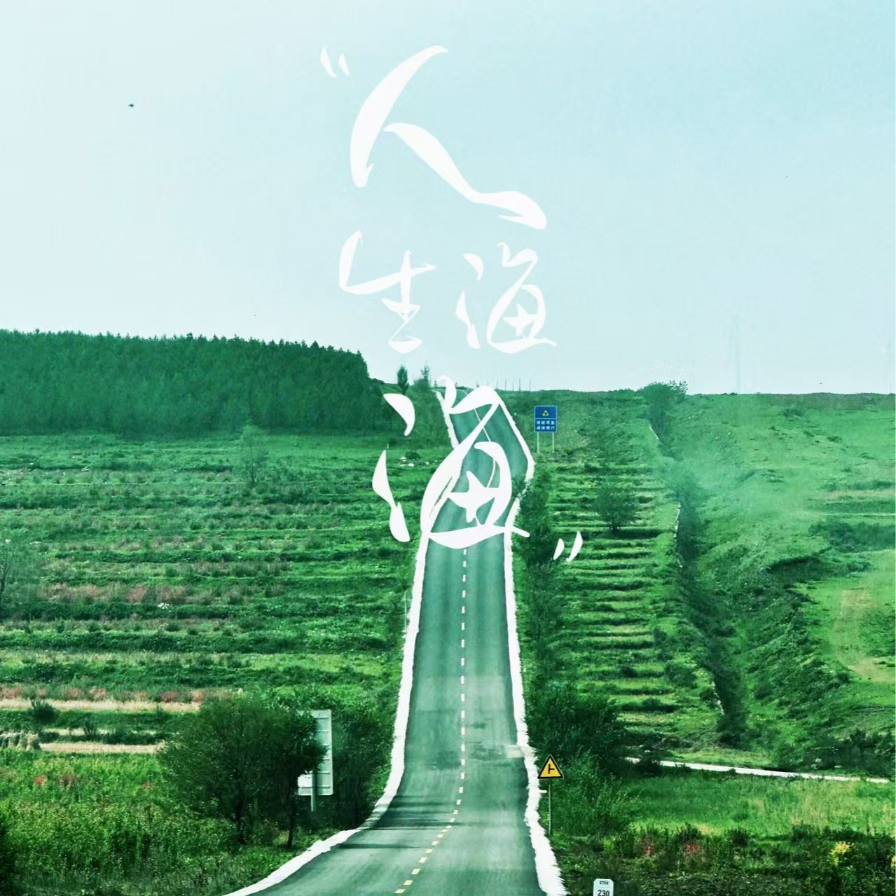 元旦快乐｜2025继续走在2024的延长线上，想念整个宇宙 episode artwork