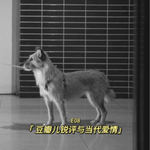 豆瓣儿锐评与当代爱情