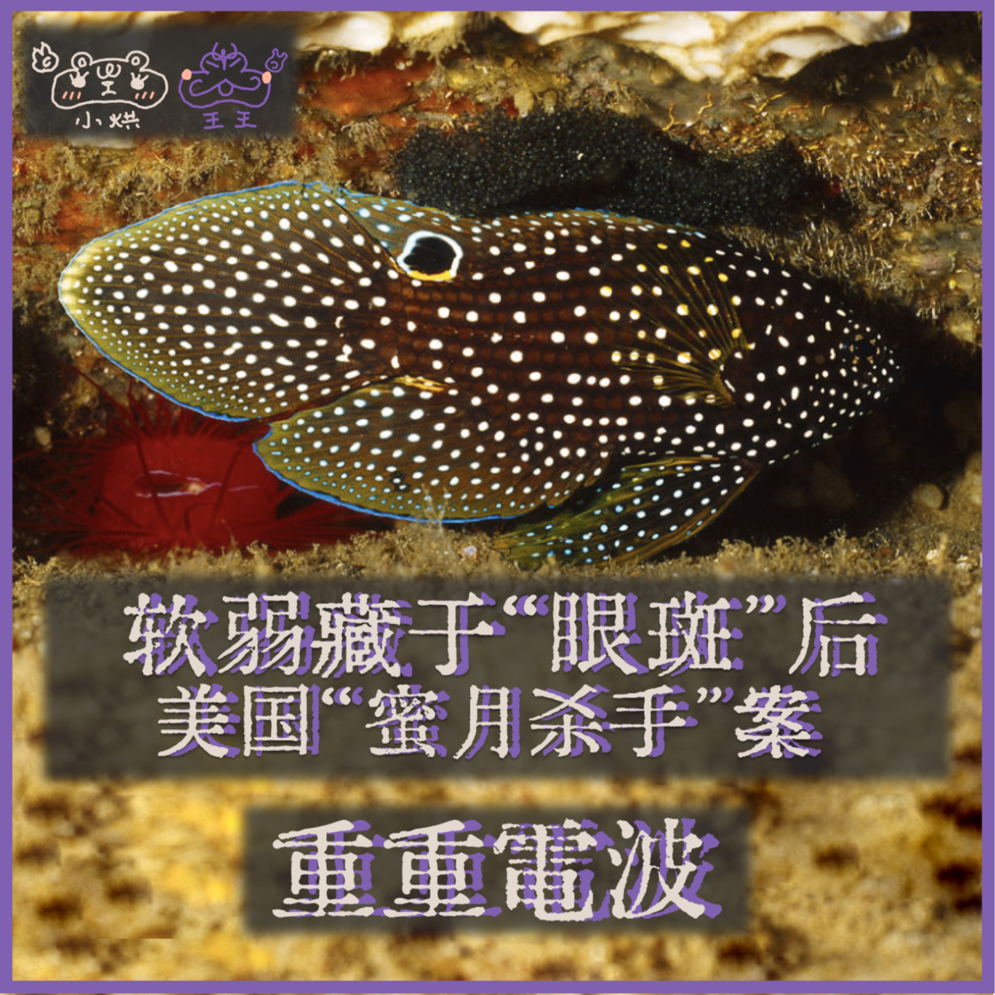 E40.软弱藏于“眼斑”后:美国“蜜月杀手”案