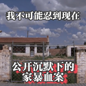 vol.15 “……我不可能忍到现在”——公开沉默下的家暴血案｜谈谈为什么家暴中“ta”不离开