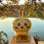 AAA玉石鉴赏老王