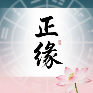 Vol.03 正缘不是“那个人”，而是“那类人” - 八字揭秘您的婚姻缘分剧本