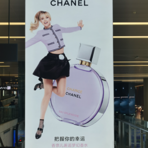 第148期：新津玫瑰花园，元旦上海之行后两天