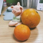 VitaminK