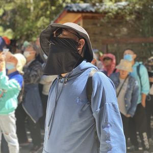 茶与马