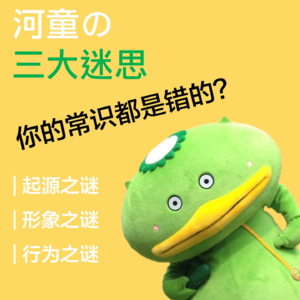 【百鬼图鉴03·河童】河童的三个迷思：一个被完全误读的日本妖怪
