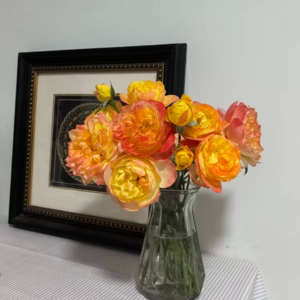 Vol 22 - 当房间里只剩自己：孤独这场必修课，我是如何毕业的