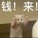 来钱_ZK3N
