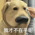 d_eX3n