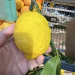 挖土守护员