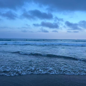 Vol.19 东京-伊豆-镰仓：超实用、细致的日本关东自由行攻略来啦！