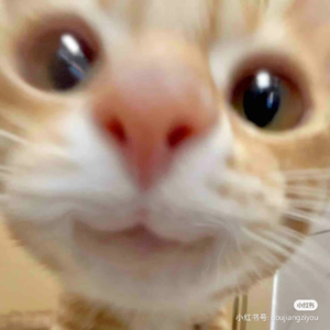 06 如何看待关心自己，却有“时差”的朋友？