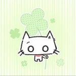 小猫薄荷雨