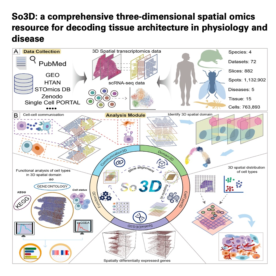 782-So3D: A Comprehensive Resource for 3D Spatial Omics episode artwork