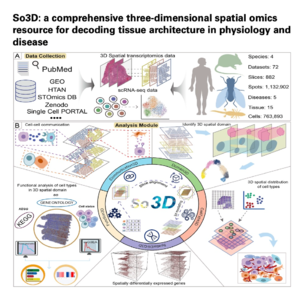 782-So3D：三维空间组学组织架构解码资源