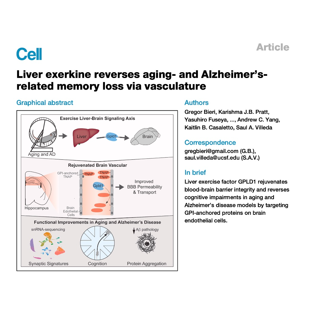 584-GPLD1 and TNAP Regulation of Cognitive Function in Aging episode artwork