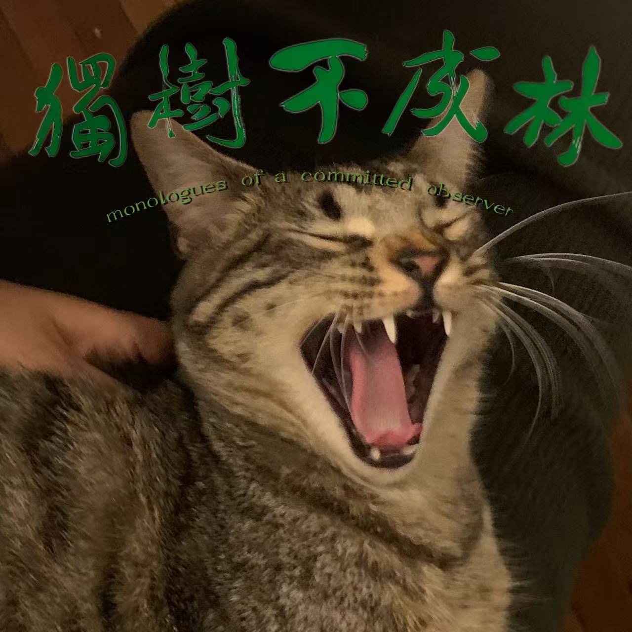 Podcast Image