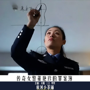 传奇女警董艳珍的罪案簿
