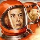PX老猪没烦恼