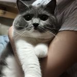 牙牙乐呀