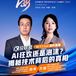 技术的本质：AI狂欢还是泡沫?