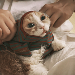 195.明日，真的会有晴天吗？