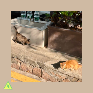 070 当我开始不再用力地抓住一段关系