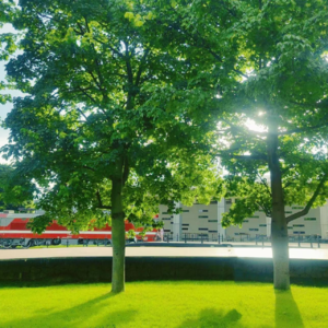 追光之旅，向阳而生，靠近光，成为光！