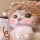 陈蘑菇_FLHP