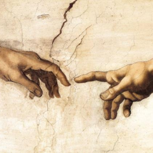 EP4.卷的起源-有计划的废止制度