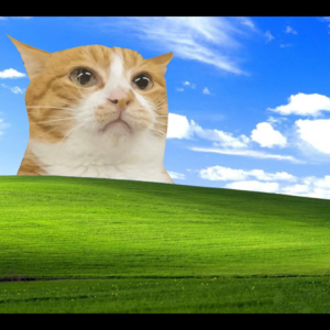 假想防卫的认定