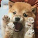callme小唐