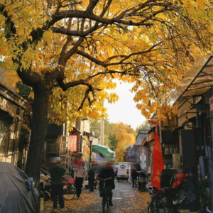 《别人的城市》余华
